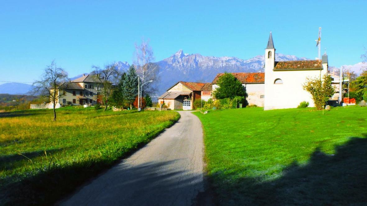 B&B Col Del Vin Belluno Exterior foto